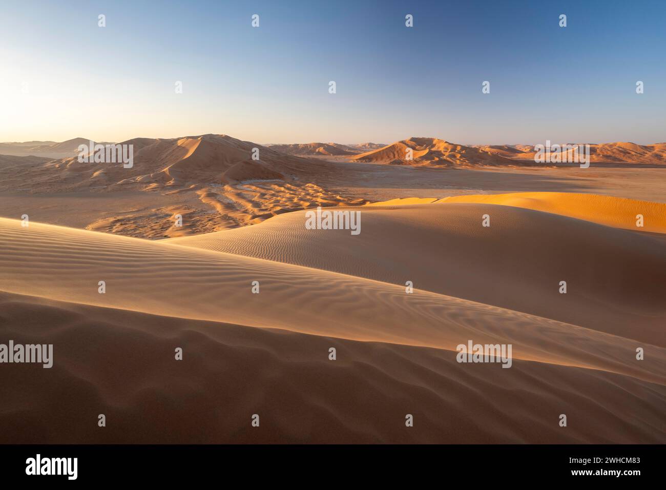 Dune di sabbia nel deserto di Rub al Khali, il deserto di sabbia più grande del mondo, il quartiere vuoto, Oman Foto Stock
