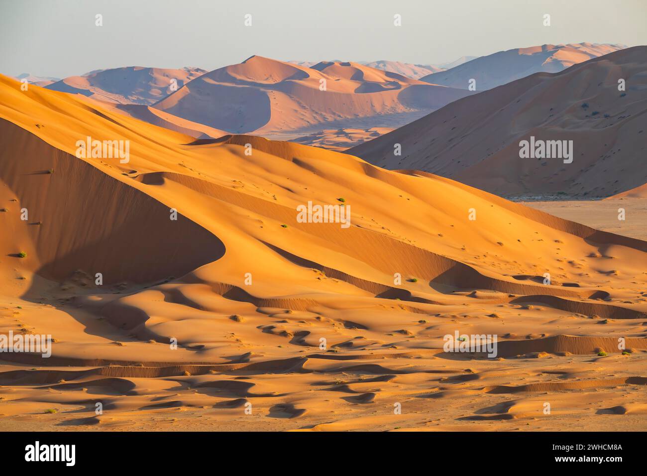 Dune di sabbia nel deserto di Rub al Khali, il deserto di sabbia più grande del mondo, il quartiere vuoto, Oman Foto Stock