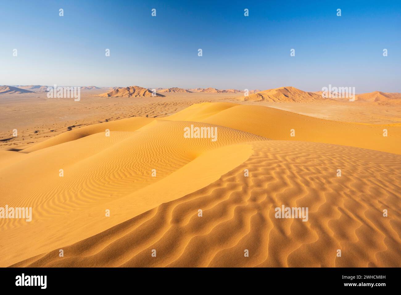 Dune di sabbia nel deserto di Rub al Khali, il deserto di sabbia più grande del mondo, il quartiere vuoto, Oman Foto Stock