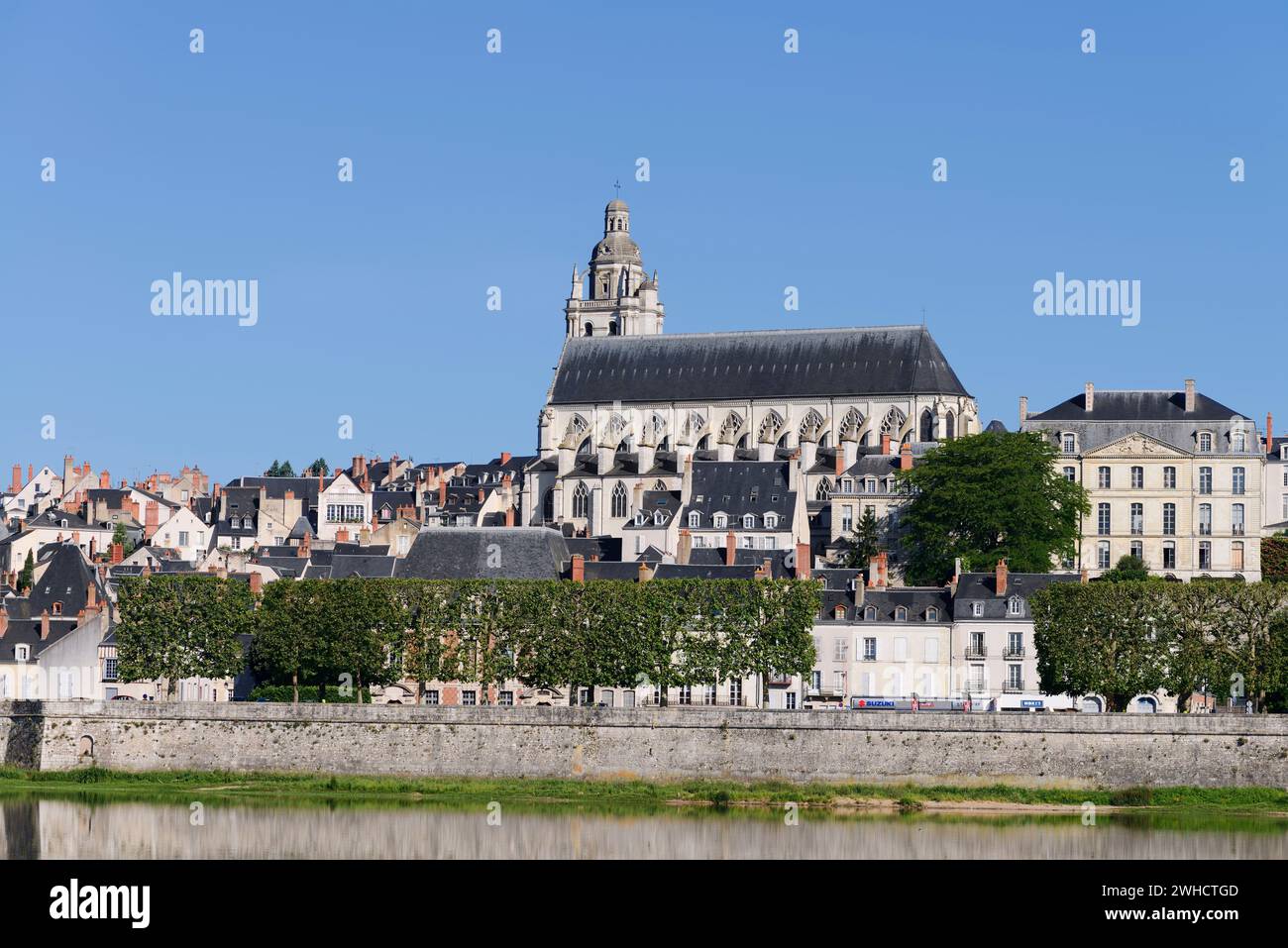 Cattedrale di Saint-Louis, Blois, dipartimento Loir-et-Cher, regione Centre-Val de Loire, Francia Foto Stock