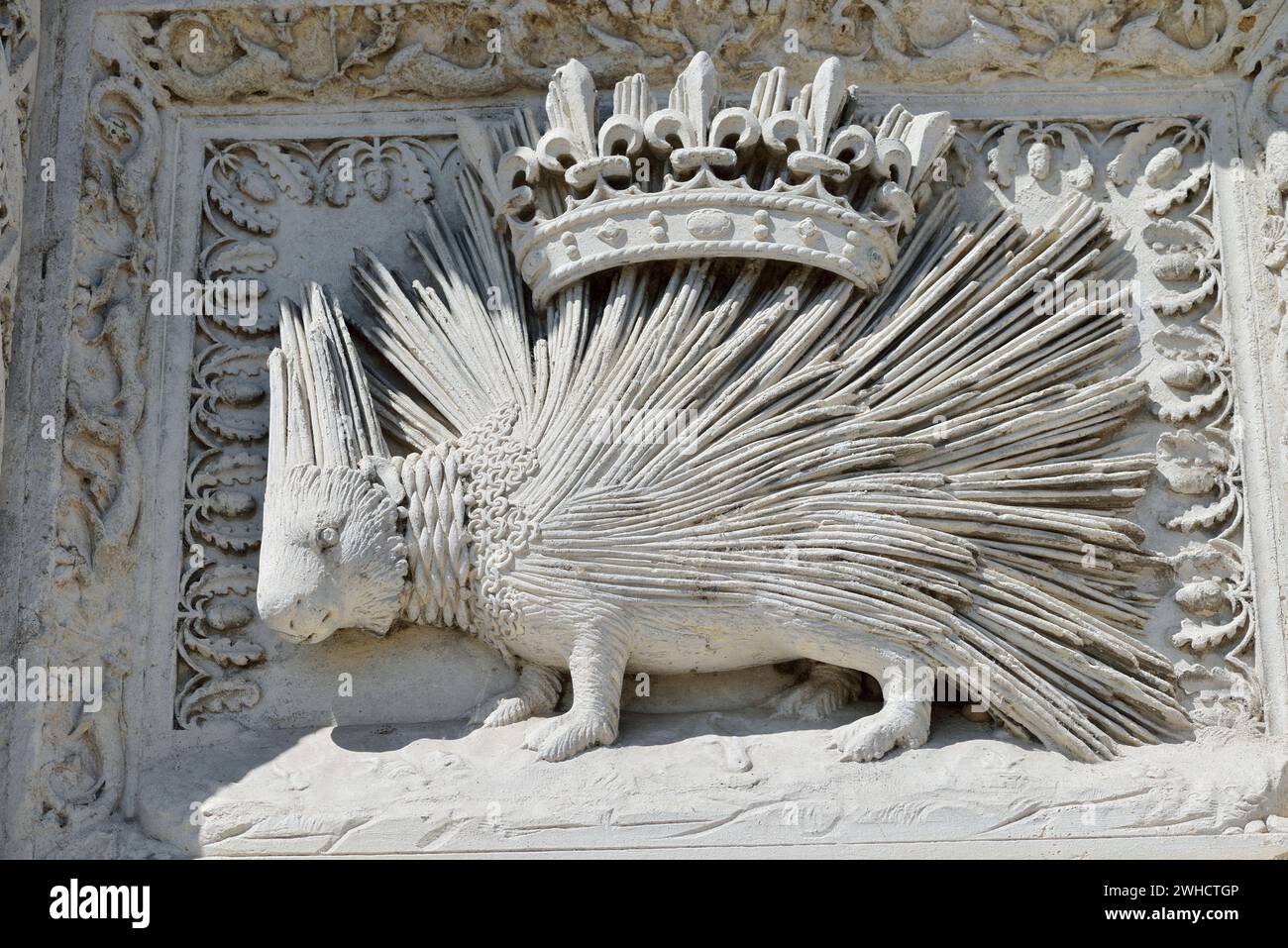 Porcospino coronato, animale araldico di Luigi XII, castello di Blois, dipartimento di Blois, Loir-et-Cher, regione Centre-Val de Loire, Francia Foto Stock