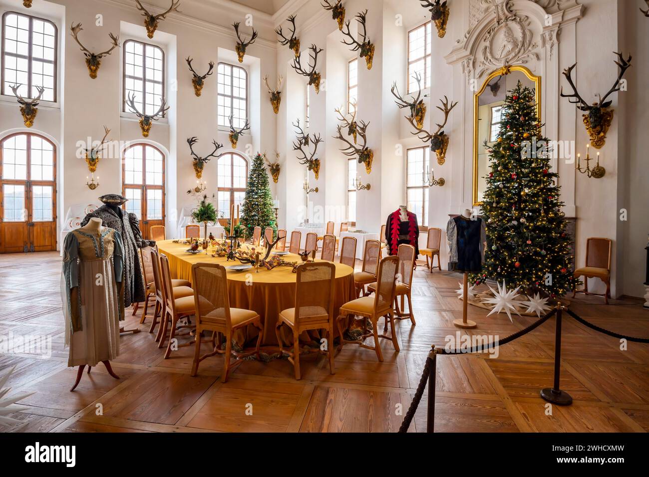 Castello di Moritzburg, interno, sala da pranzo, sala banchetti, Natale, Dresda, Sassonia, Germania Foto Stock