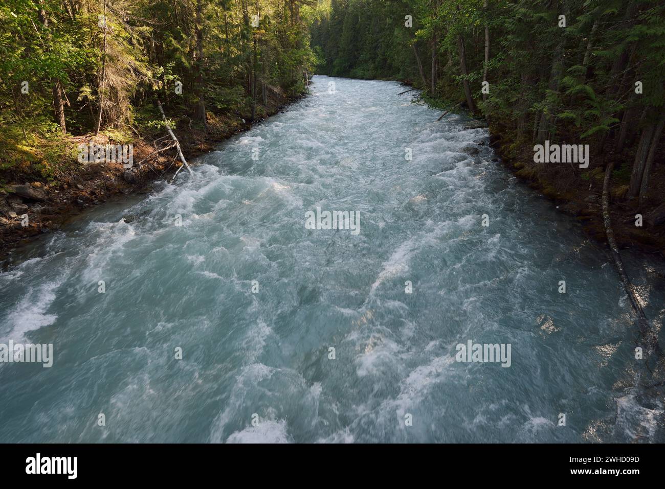 Robson River, Monte Robson Provincial Park, British Columbia, Canada Foto Stock