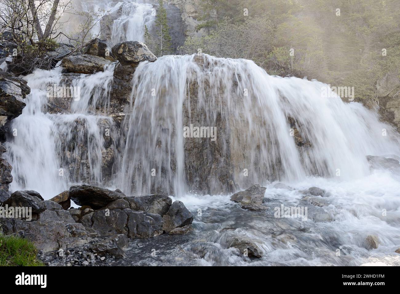 Cascata Tangle Falls, Icefields Parkway, Jasper National Park, Alberta, Canada Foto Stock