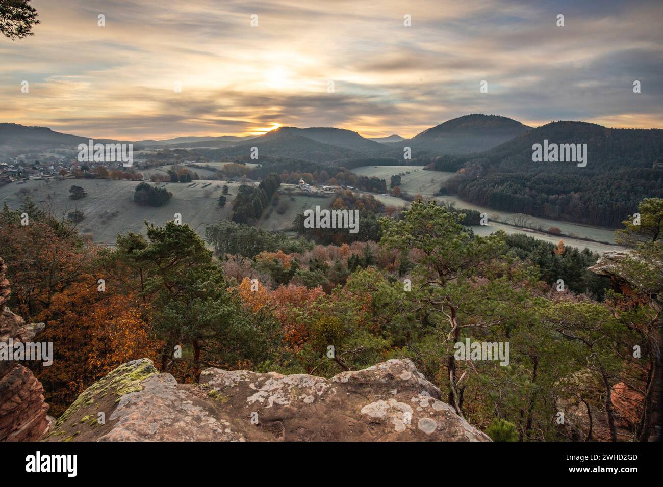 Paesaggio girato su una roccia di arenaria nella foresta. Atmosfera mattutina all'alba in un punto panoramico. Un piccolo albero e una croce in cima si trovano sul Rötzenfels nella foresta del Palatinato Foto Stock