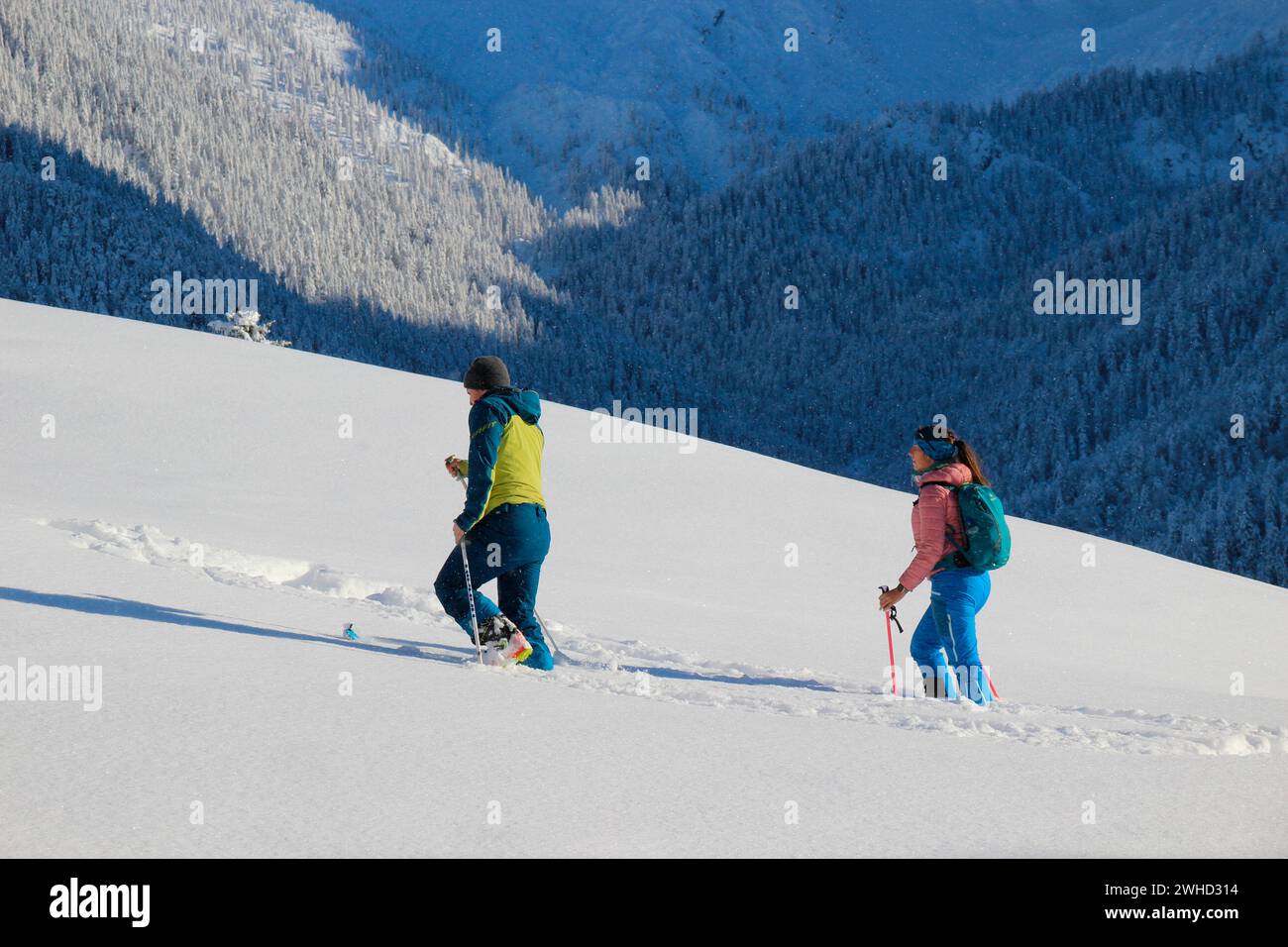 Tour sciistico nel paesaggio invernale vicino a Mittenwald, sci alpino, terra di Werdenfelser, alta Baviera, Baviera, Baviera, Germania meridionale, Germania, UE Foto Stock