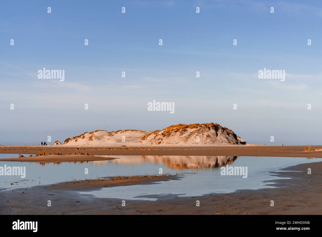 In una giornata tranquilla, il paesaggio delle dune di Norderney si riflette nell'acqua, con persone sfocate sullo sfondo Foto Stock
