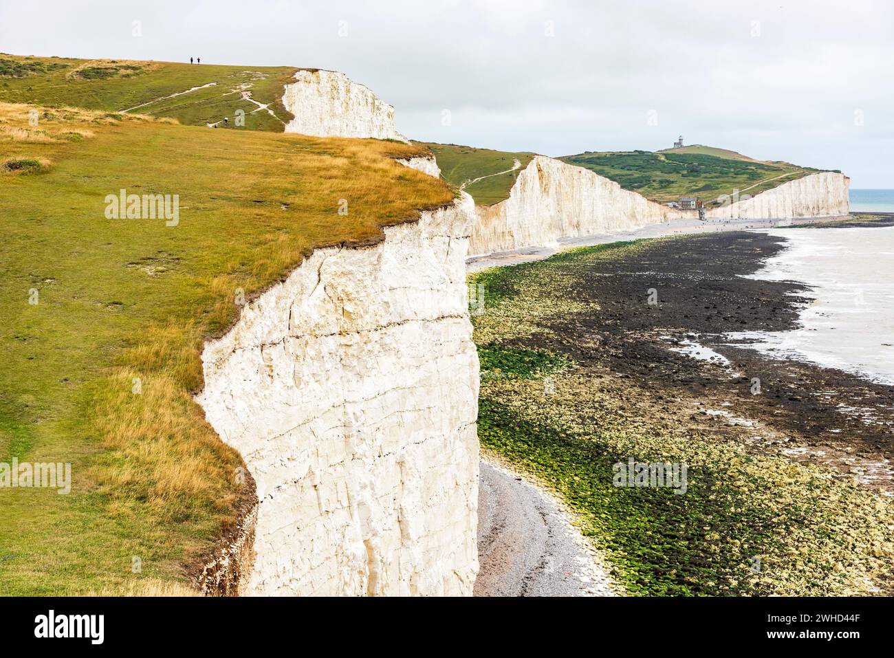 Le scogliere di gesso Seven Sisters sulla costa meridionale inglese tra Seaford e Eastbourne, West Sussex, Inghilterra, Regno Unito Foto Stock