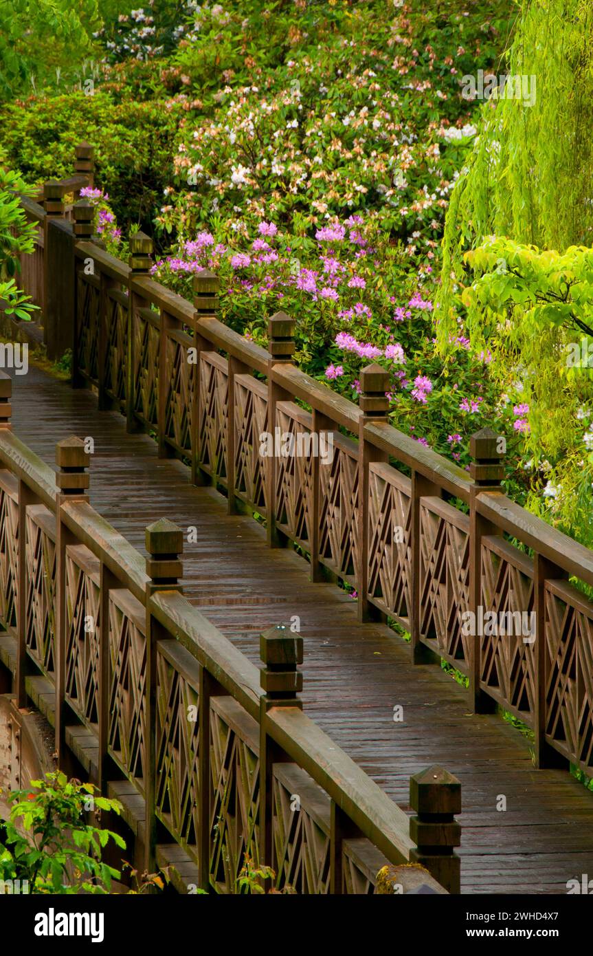 Garden Bridge, Crystal Springs Rhodendon Gardens, Portland, Oregon Foto Stock