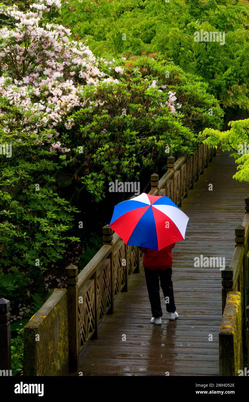 Garden Bridge, Crystal Springs Rhodendon Gardens, Portland, Oregon Foto Stock