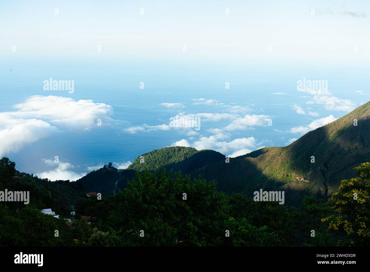 Foto scattata con una fotocamera Sony Alpha 7 II. In Venezuela - Caracas, sulla montagna chiamata Avila. Foto Stock