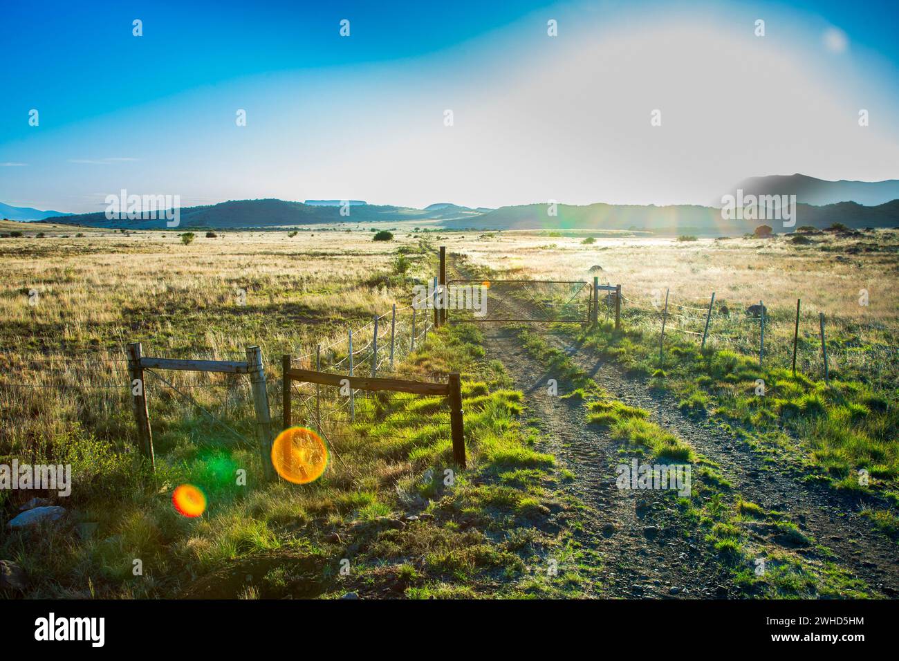 Africa, agricoltura, giorno, Provincia del Capo Orientale, azienda agricola, cancello, paesaggio, natura, luce parassita dell'obiettivo, nessuna persona, ambiente non urbano, all'aperto, raggi di sole, Sud Africa, tranquillità, sfondo bianco, scenografico, Karoo Foto Stock