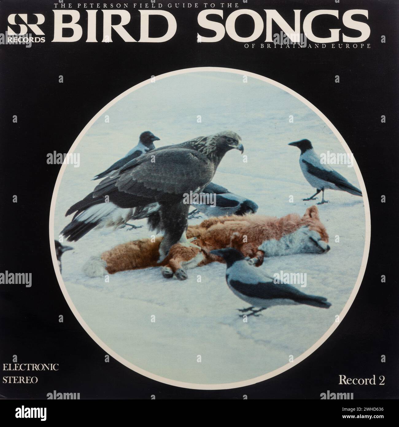 The Peterson Field Guide to the Bird Songs of Britain and Europe record 2, copertina in vinile LP Foto Stock