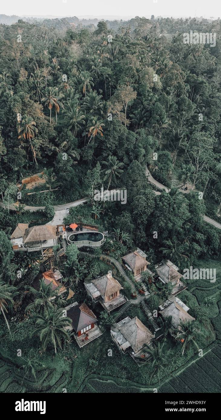 Alcuni giardini lussureggianti brulicanti di alberi, acqua e terra nella proprietà Foto Stock