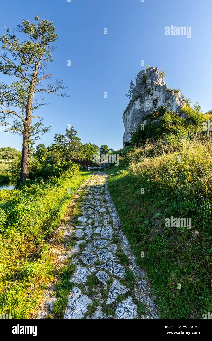 Europa, Polonia, Voivodato della Slesia, Cracovia-Czestochowa Upland, altopiano giurassico polacco, Jura, Mstow, Skala Milosci, Love Rock Foto Stock