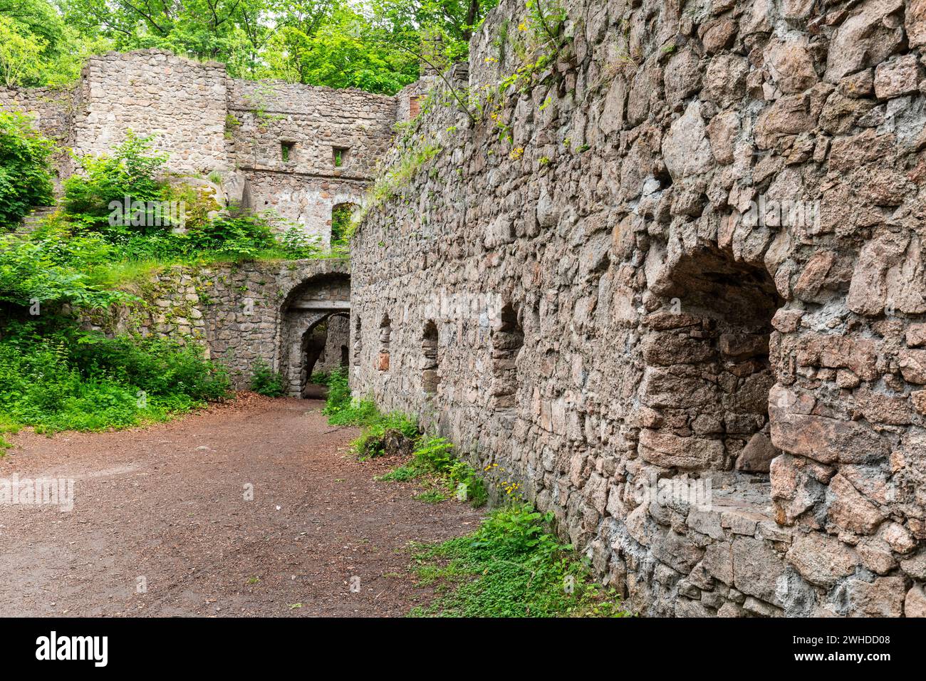 Europa, Polonia, bassa Slesia, Castello Bolczow / Bolzenschloss a Rudawy Janowickie Foto Stock