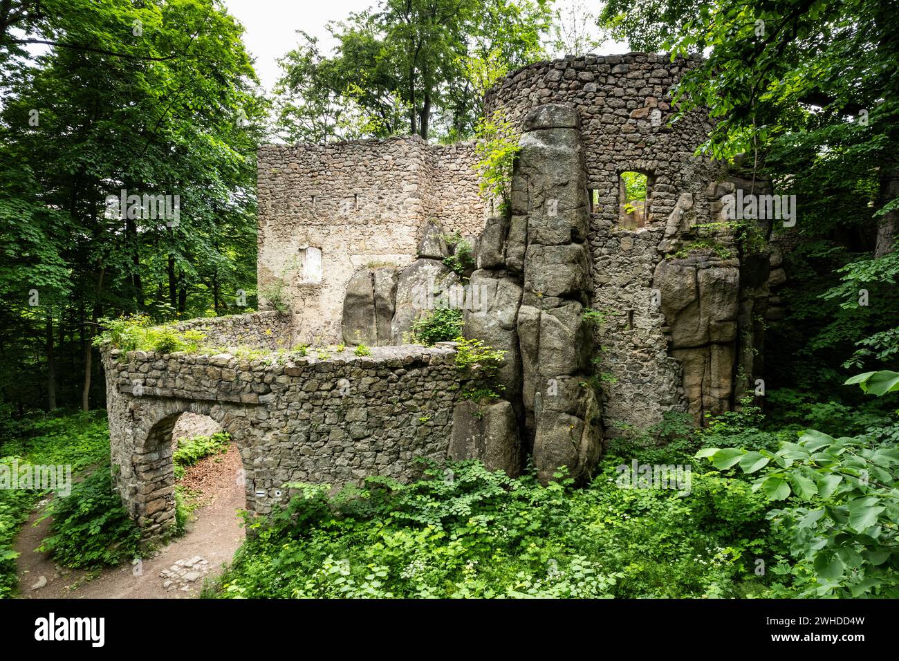 Europa, Polonia, bassa Slesia, Castello Bolczow / Bolzenschloss a Rudawy Janowickie Foto Stock