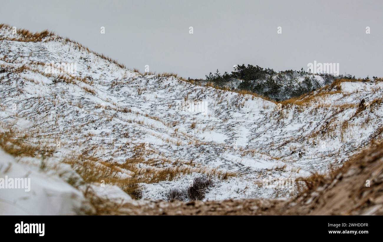 Paesaggio invernale tra le dune del Mare del Nord Foto Stock