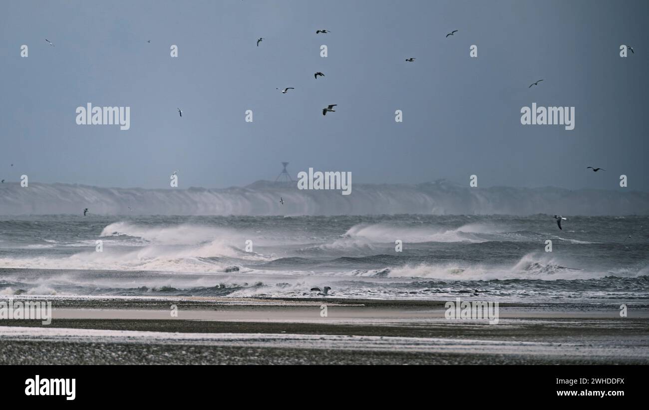 Tempesta e neve sulla costa occidentale danese Foto Stock