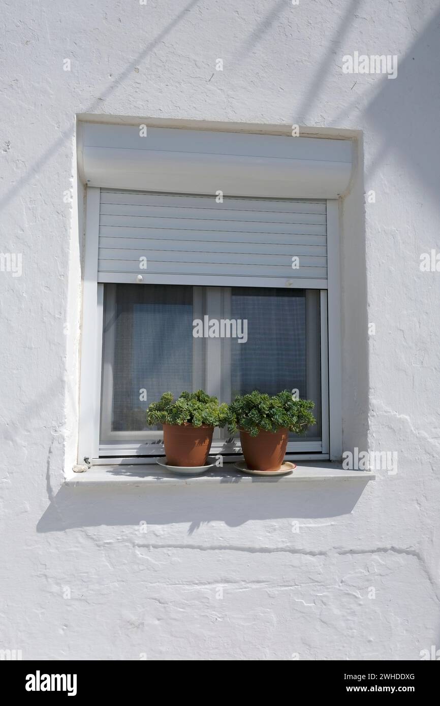 Grecia, Parga, facciata della casa bianca, finestra, cieco, vasi di fiori Foto Stock