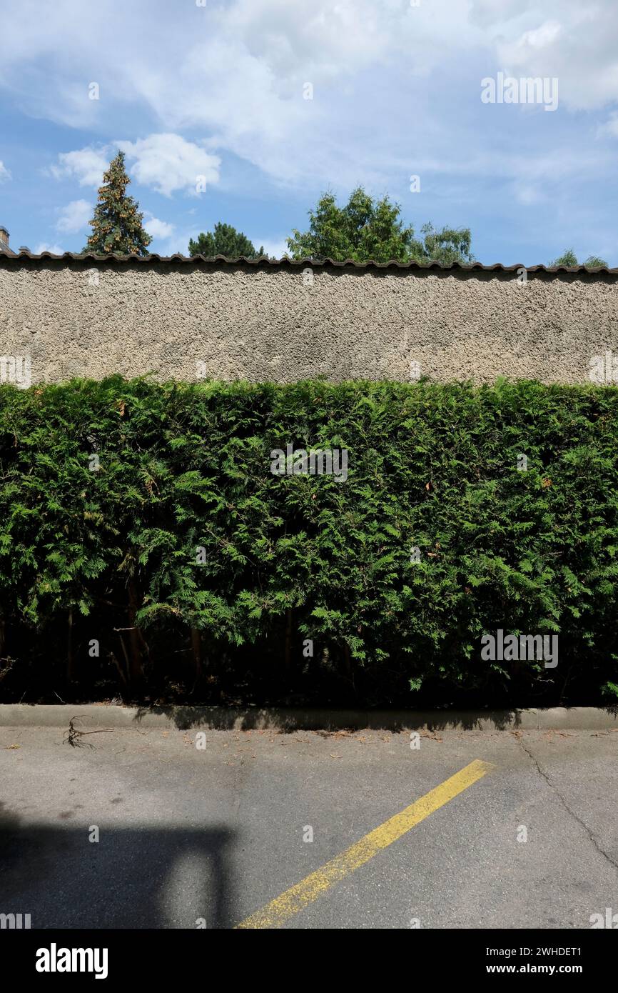 Austria, Deutsch-Wagram, muro, impianti Foto Stock