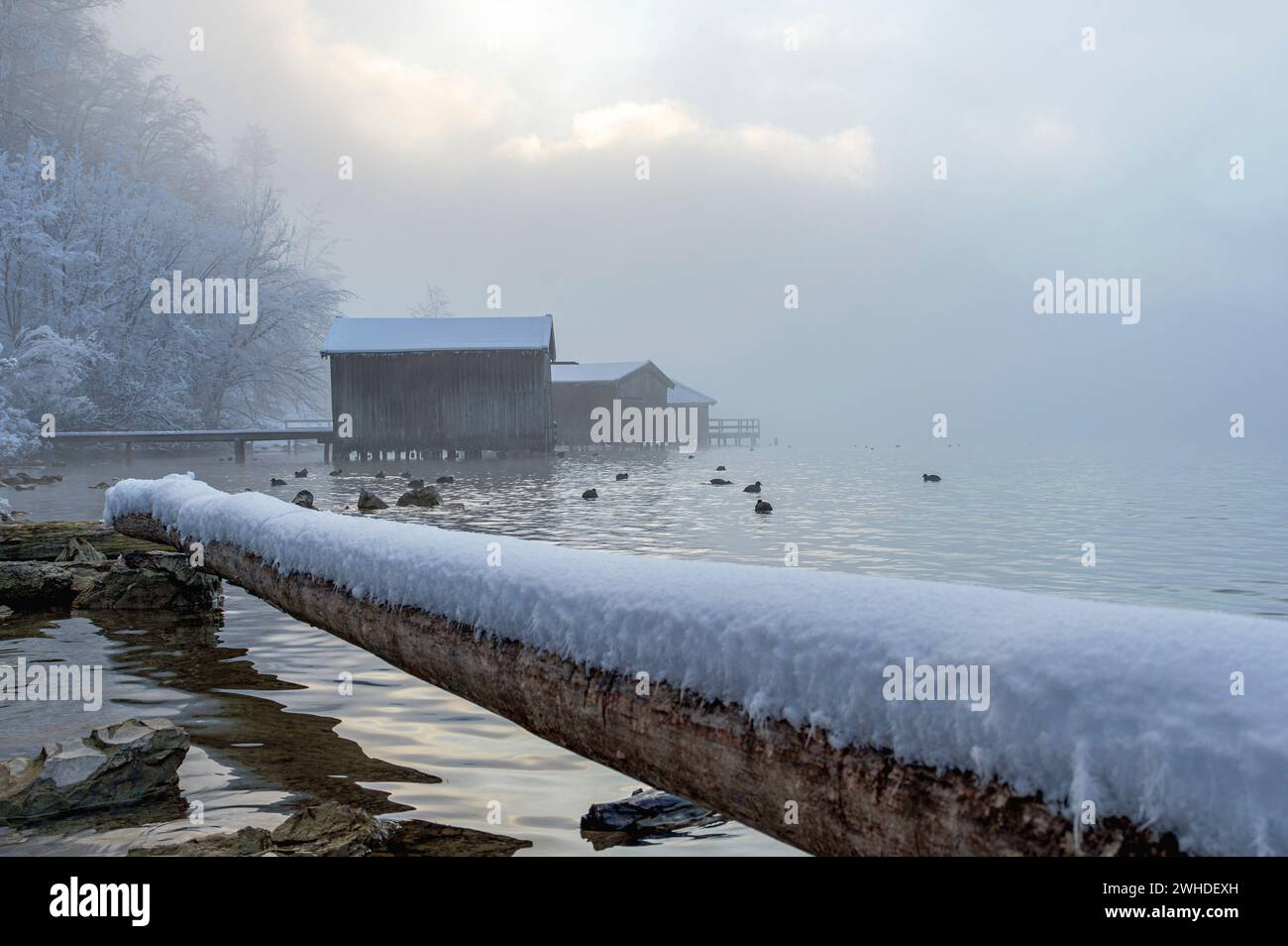 Paesaggio invernale a Kochel am SEE, Kochelsee, Baviera, Germania Foto Stock