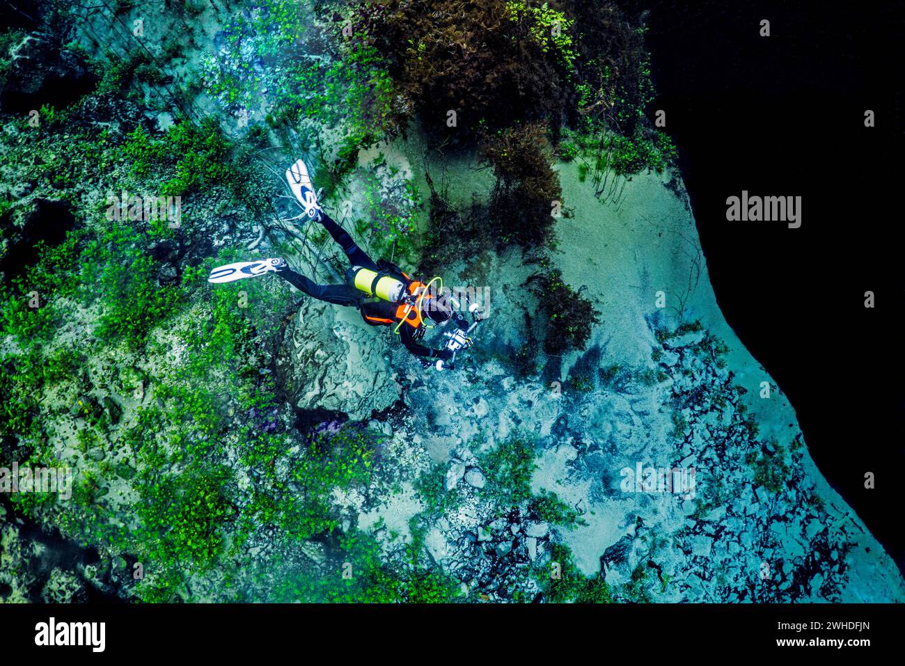 Immersioni subacquee con macchina fotografica subacquea in un lago primaverile in Italia Foto Stock