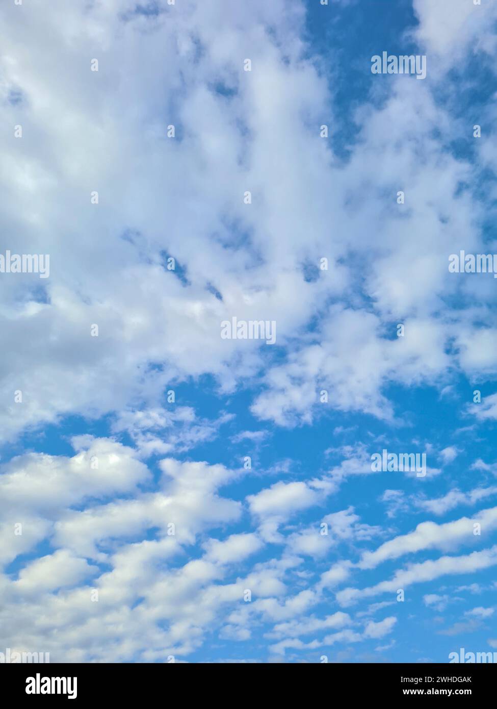 Il cielo blu con nuvole bianche in una giornata di sole Foto Stock