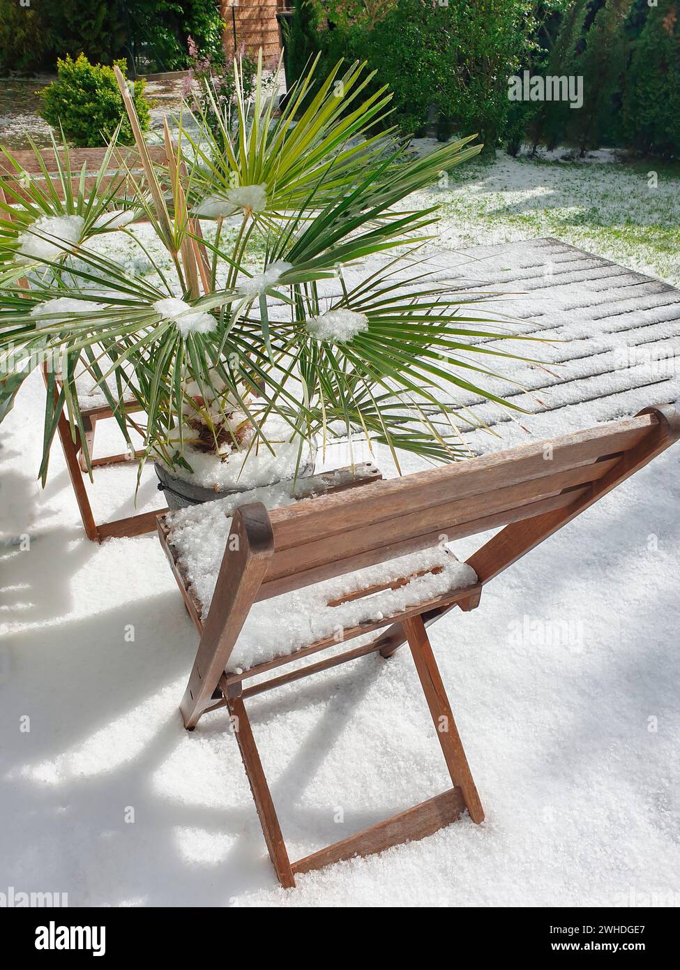 Vista dall'esterno sulla terrazza con mobili da giardino e piante verdi al fenomeno meteorologico della neve a maggio a Berlino a causa dei cambiamenti climatici Foto Stock