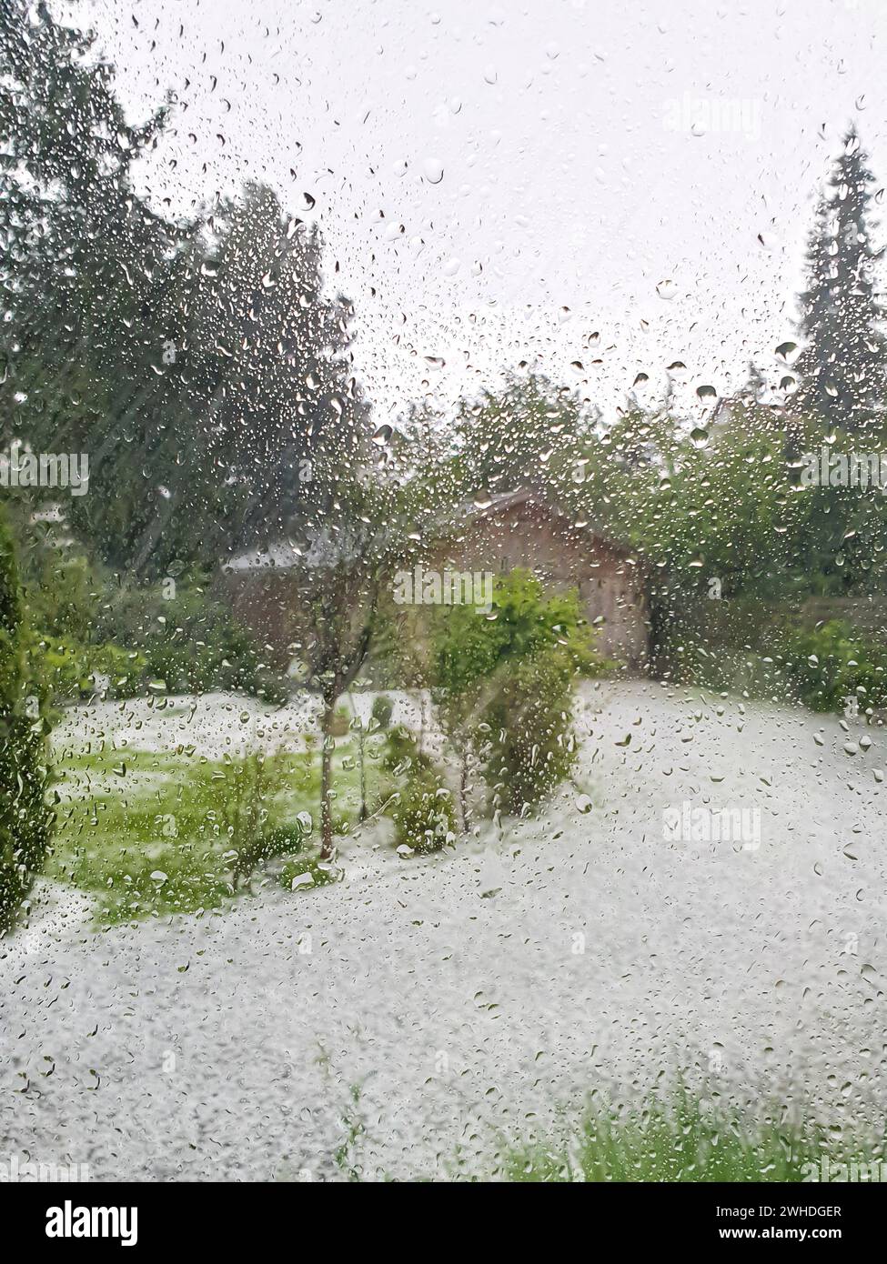 Vista dalla finestra del fenomeno meteorologico della neve a maggio a Berlino con piante verdi all'esterno a causa dei cambiamenti climatici Foto Stock