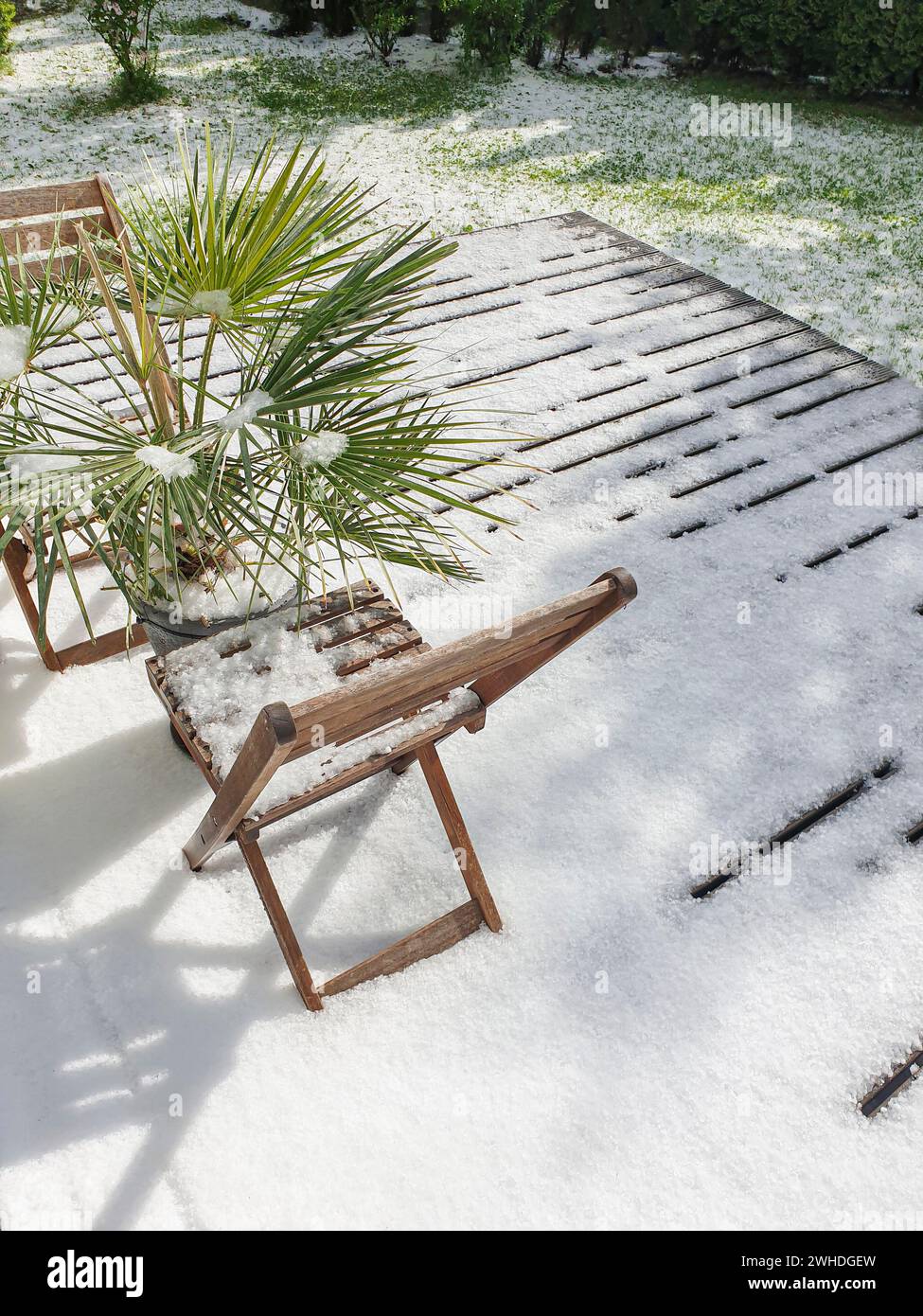 Vista dall'esterno sulla terrazza con mobili da giardino e piante verdi al fenomeno meteorologico della neve a maggio a Berlino a causa dei cambiamenti climatici Foto Stock