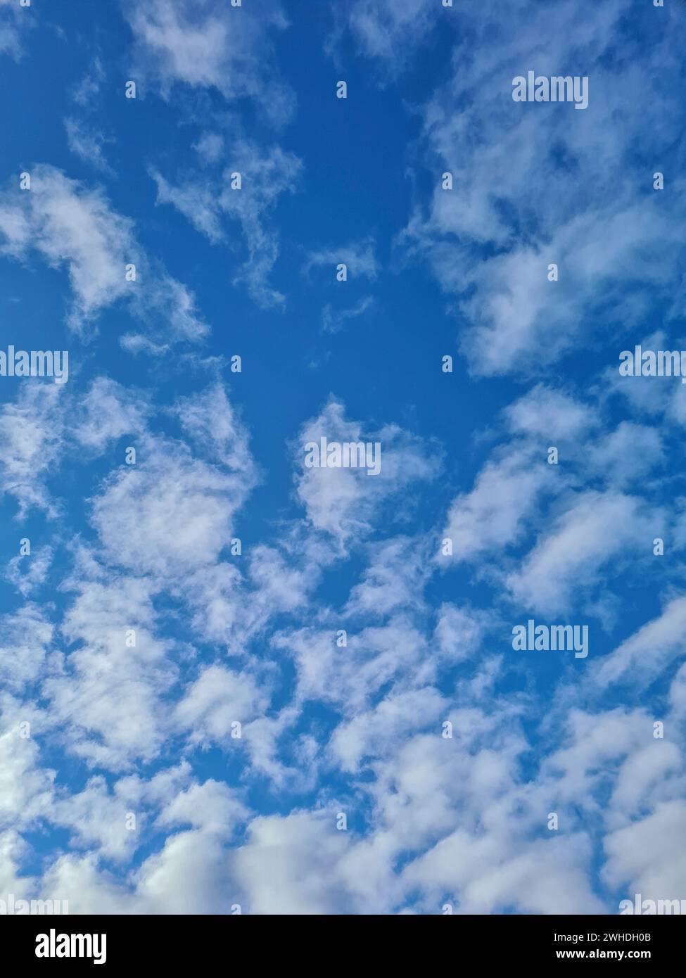 Il cielo blu con nuvole bianche in una giornata di sole Foto Stock