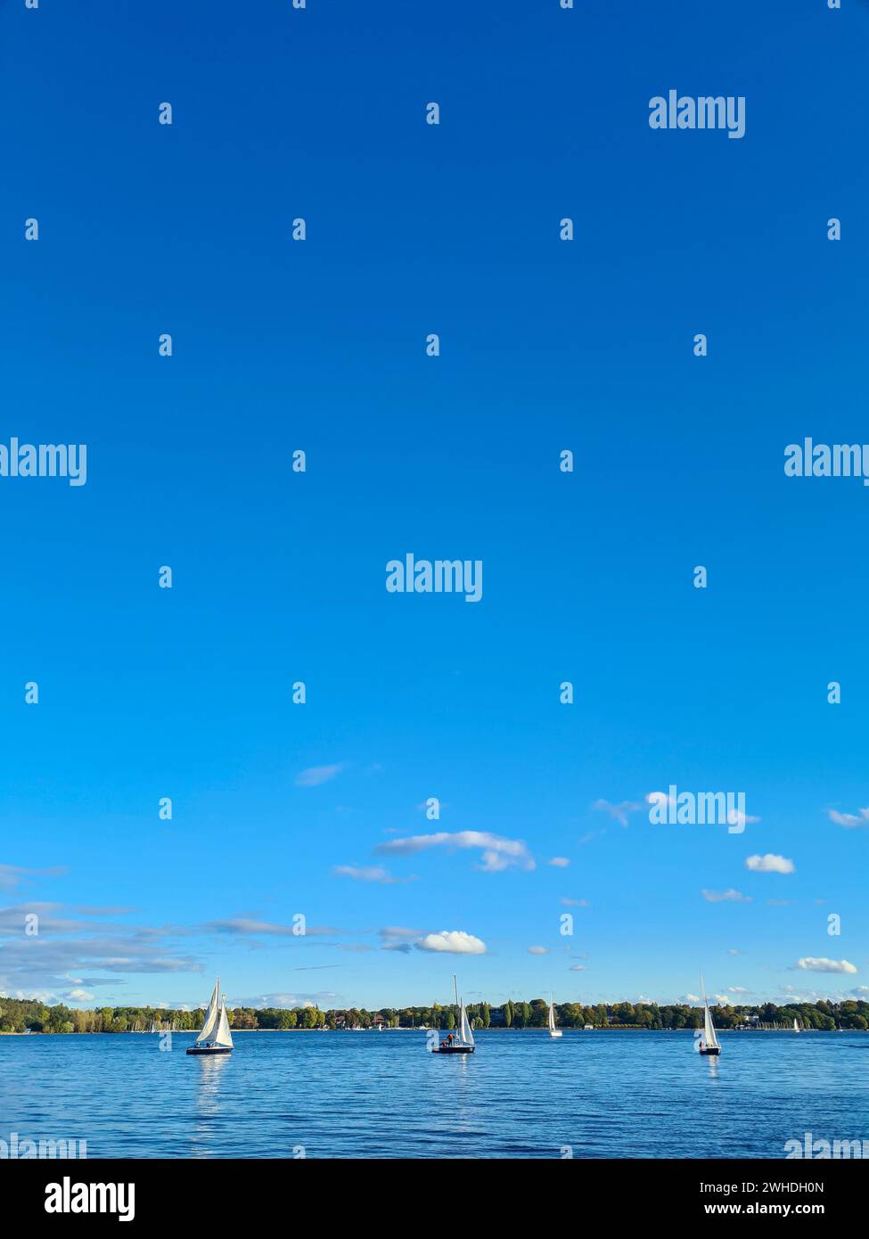 Rilassati vicino al lago vicino con una vista sull'acqua in lontananza dal cielo blu con nuvole bianche all'orizzonte Foto Stock