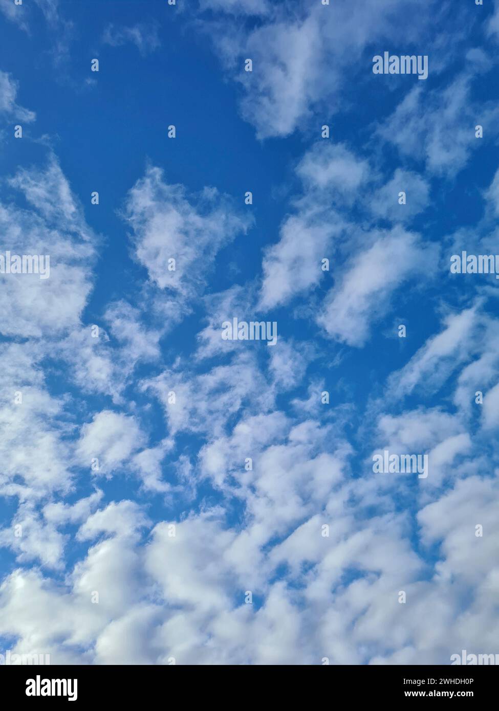 Il cielo blu con nuvole bianche in una giornata di sole Foto Stock