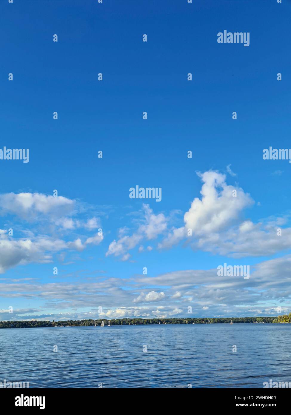 Rilassati vicino al lago vicino con una vista sull'acqua in lontananza dal cielo blu con nuvole bianche all'orizzonte Foto Stock