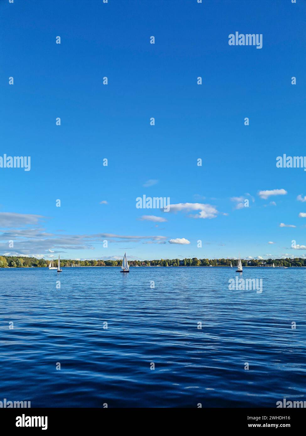 Rilassati vicino al lago vicino con una vista sull'acqua in lontananza dal cielo blu con nuvole bianche all'orizzonte Foto Stock
