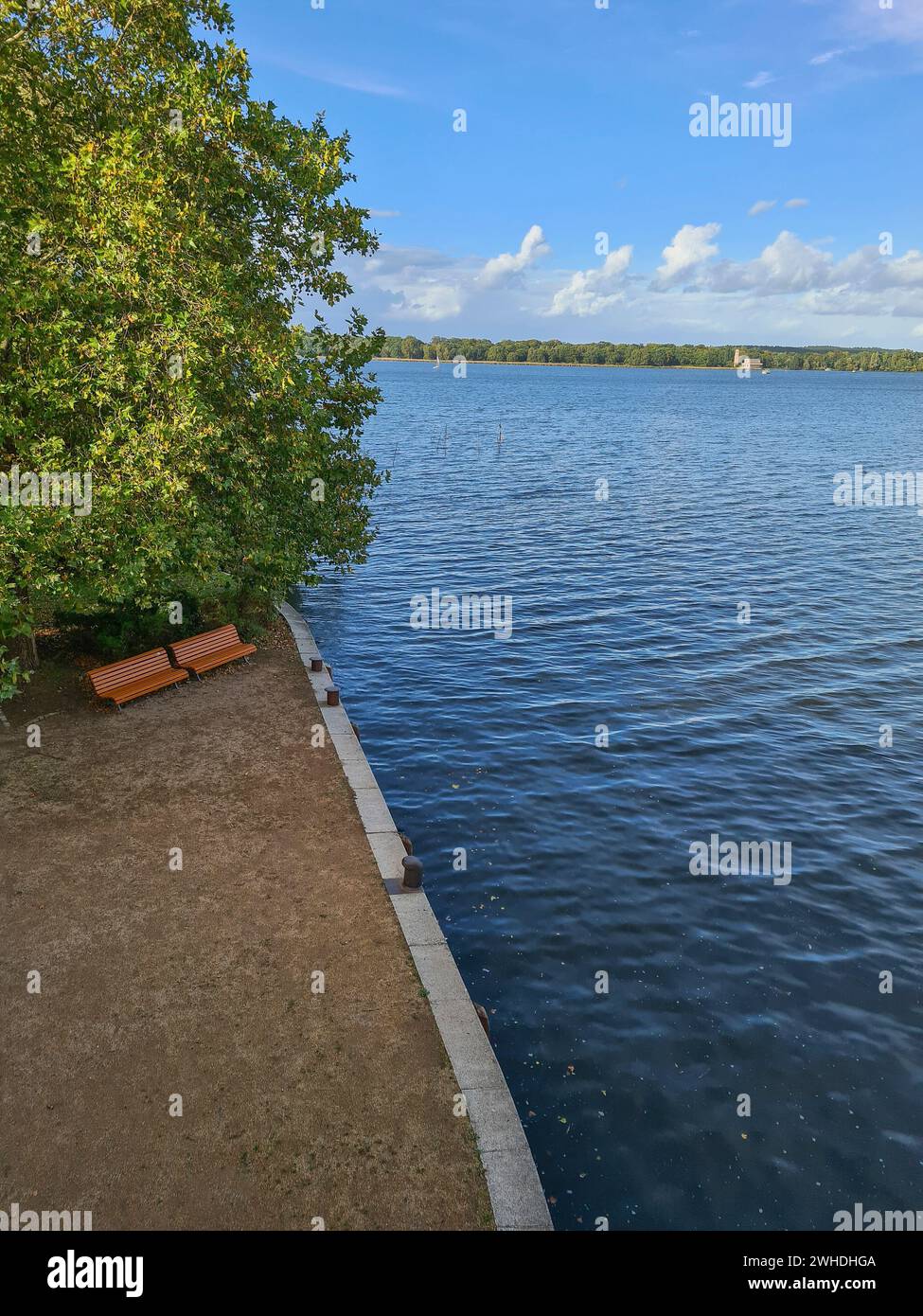 Rilassatevi vicino al lago e all'acqua con vista dall'alto sulle panchine del parco sotto un albero in autunno Foto Stock