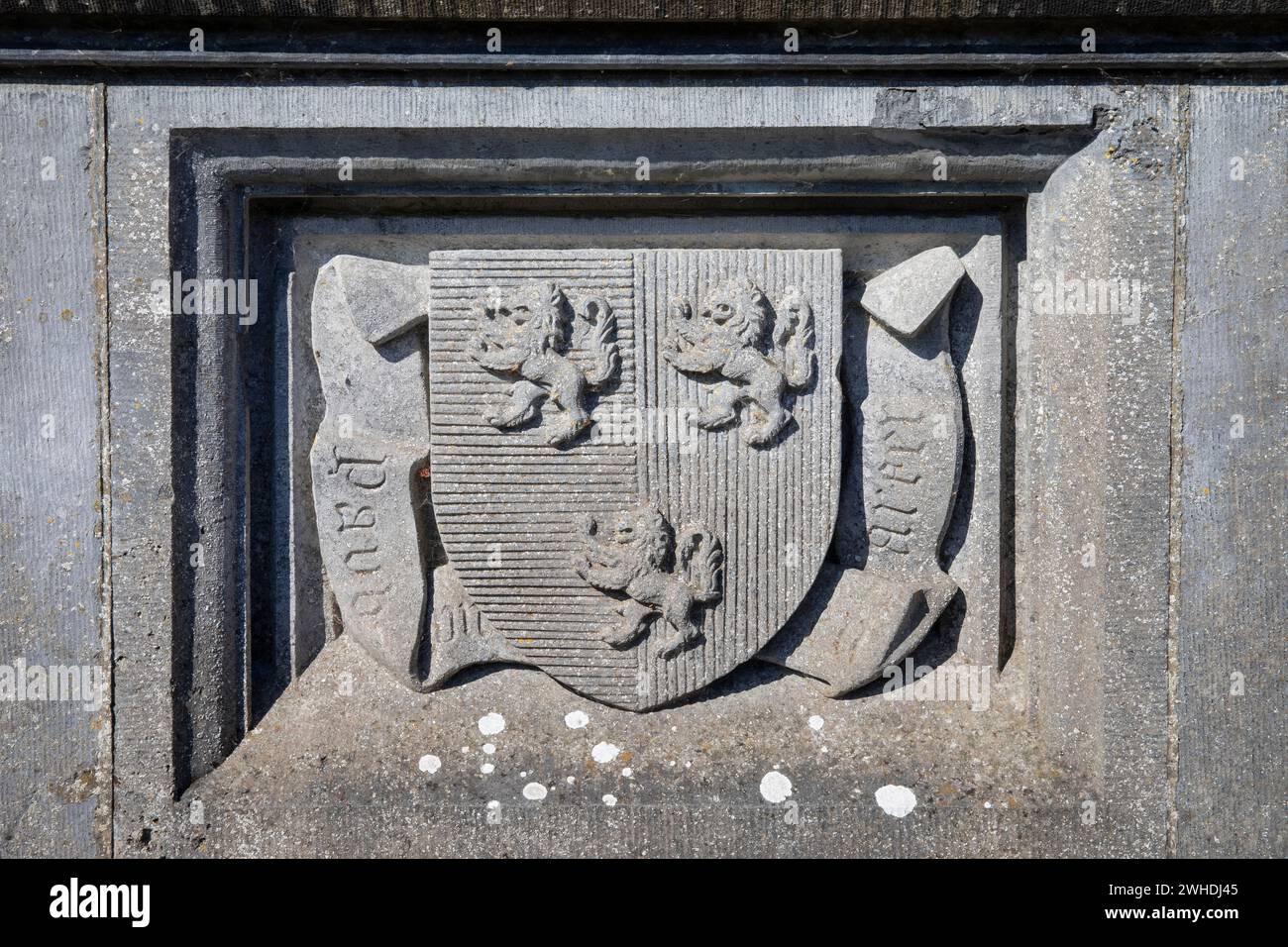 stemma familiare con 3 leoni Foto Stock