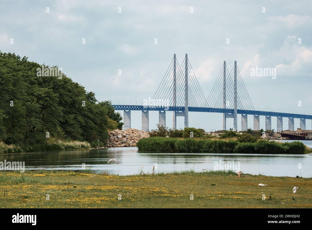 Tranquilla vista sul ponte di Oresund, che collega Copenaghen e il paesaggio di Malmo Foto Stock