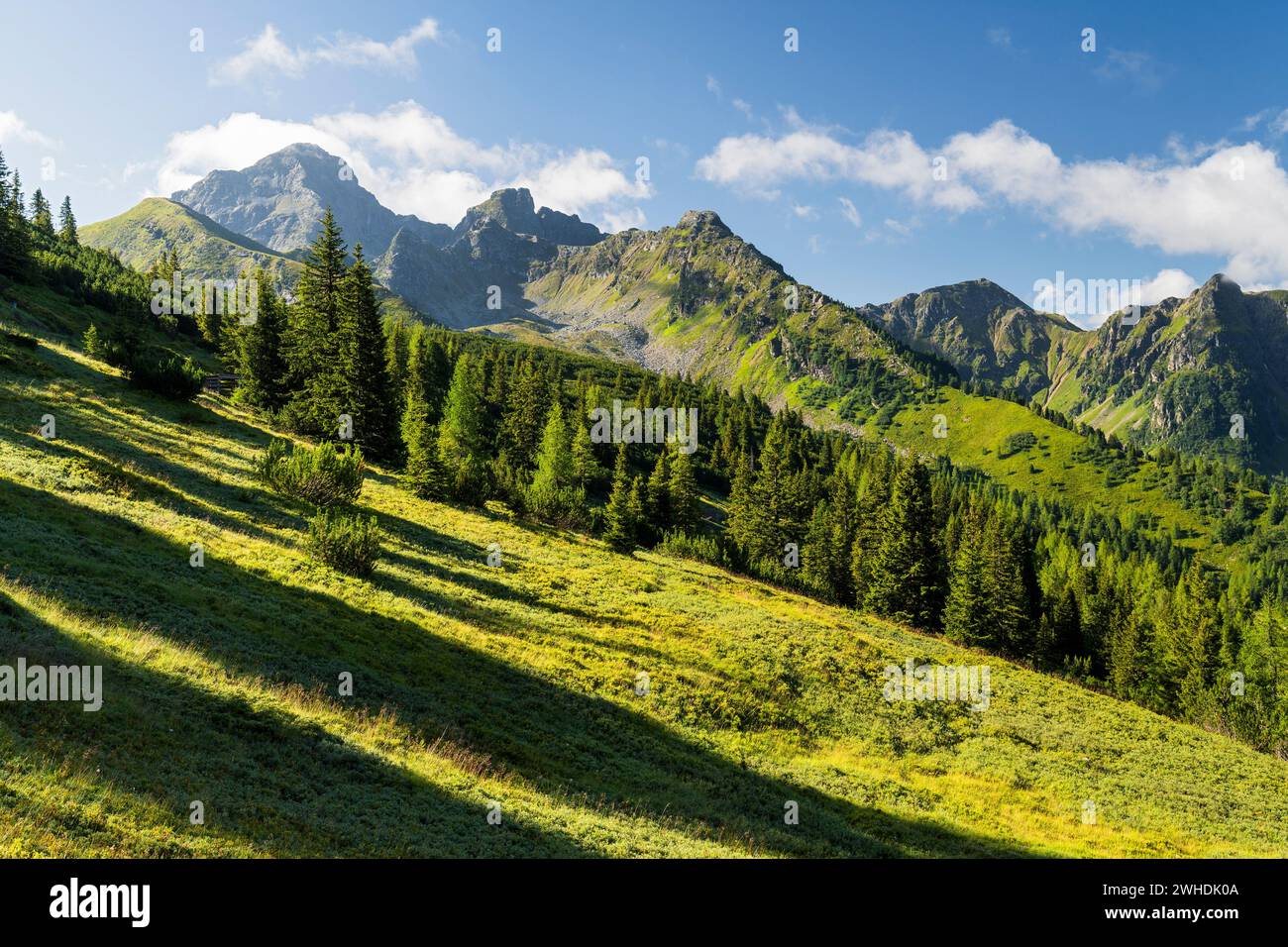 Vista da Hauser Kaibling nel Tauri Schladminer, Stiria, Austria Foto Stock