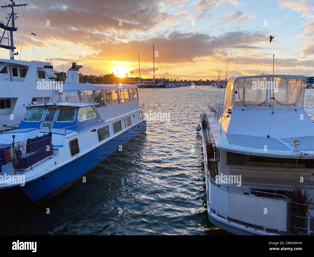 Gli yacht sono attraccati nel porto al tramonto a Marina del Rey, California Foto Stock