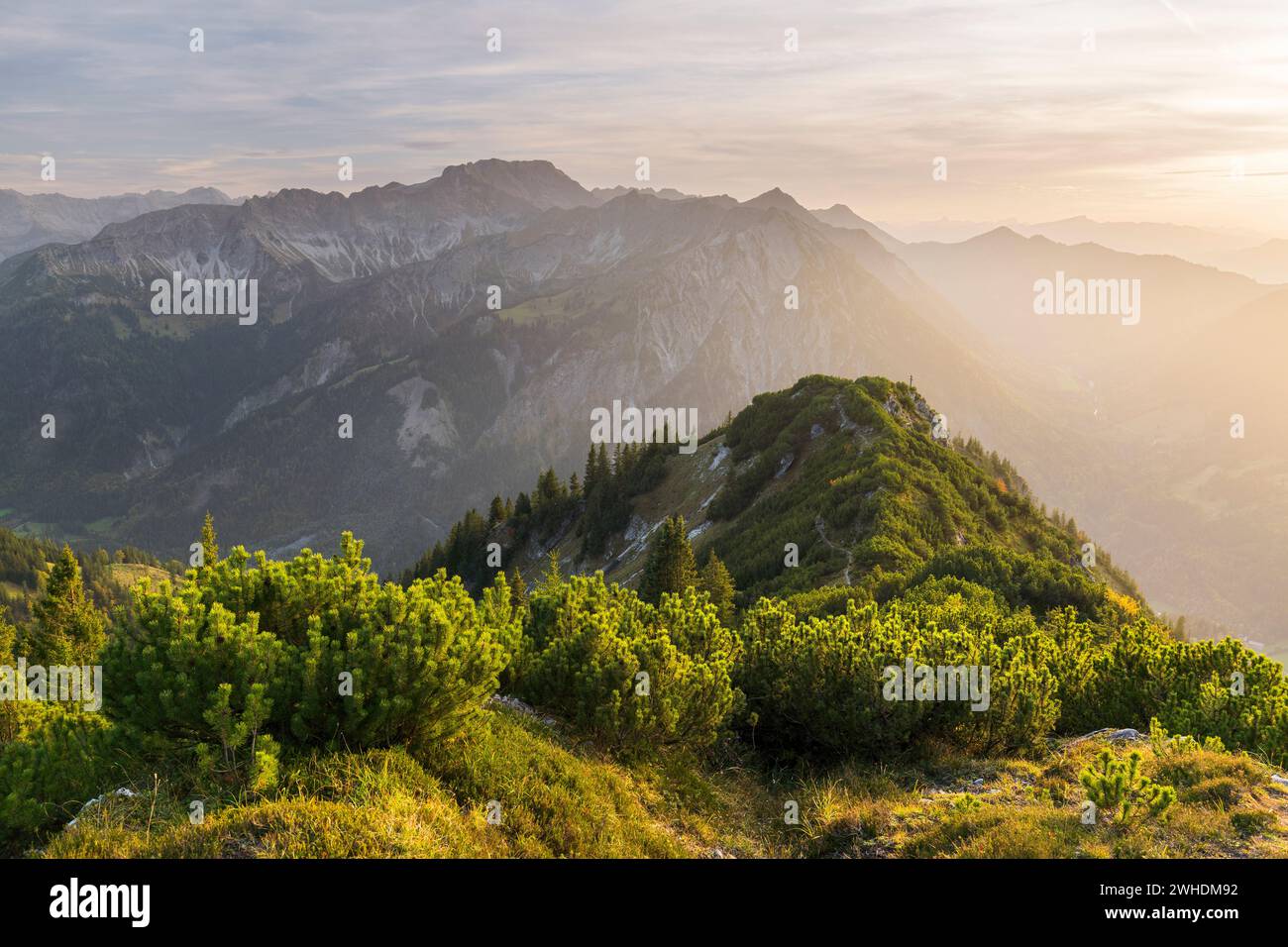Vista dall'Iseler sulle Alpi di Allgäu, Baviera, Germania Foto Stock