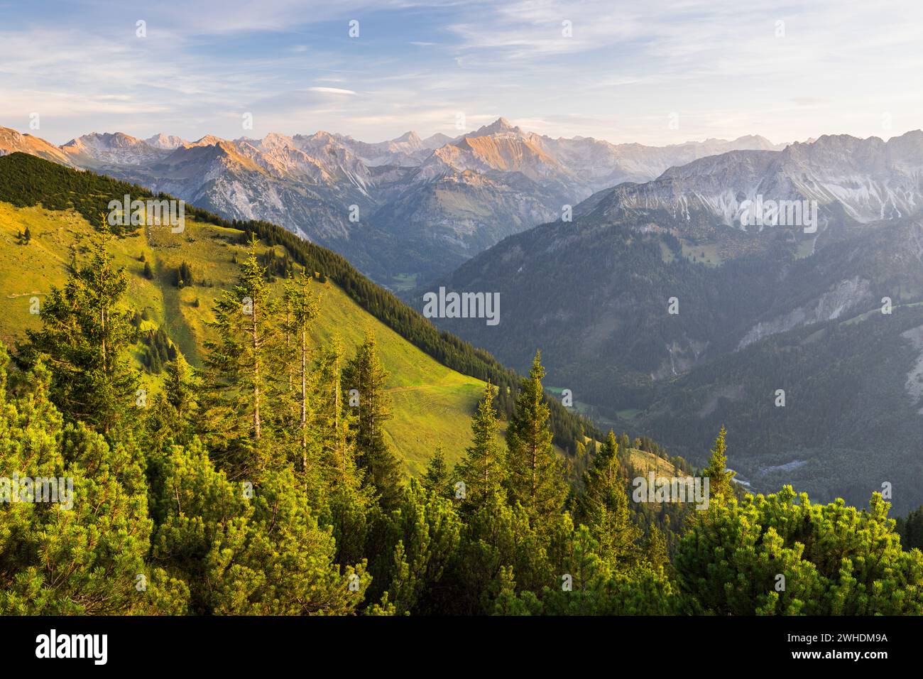 Vista dall'Iseler sulle Alpi di Allgäu, Baviera, Germania Foto Stock