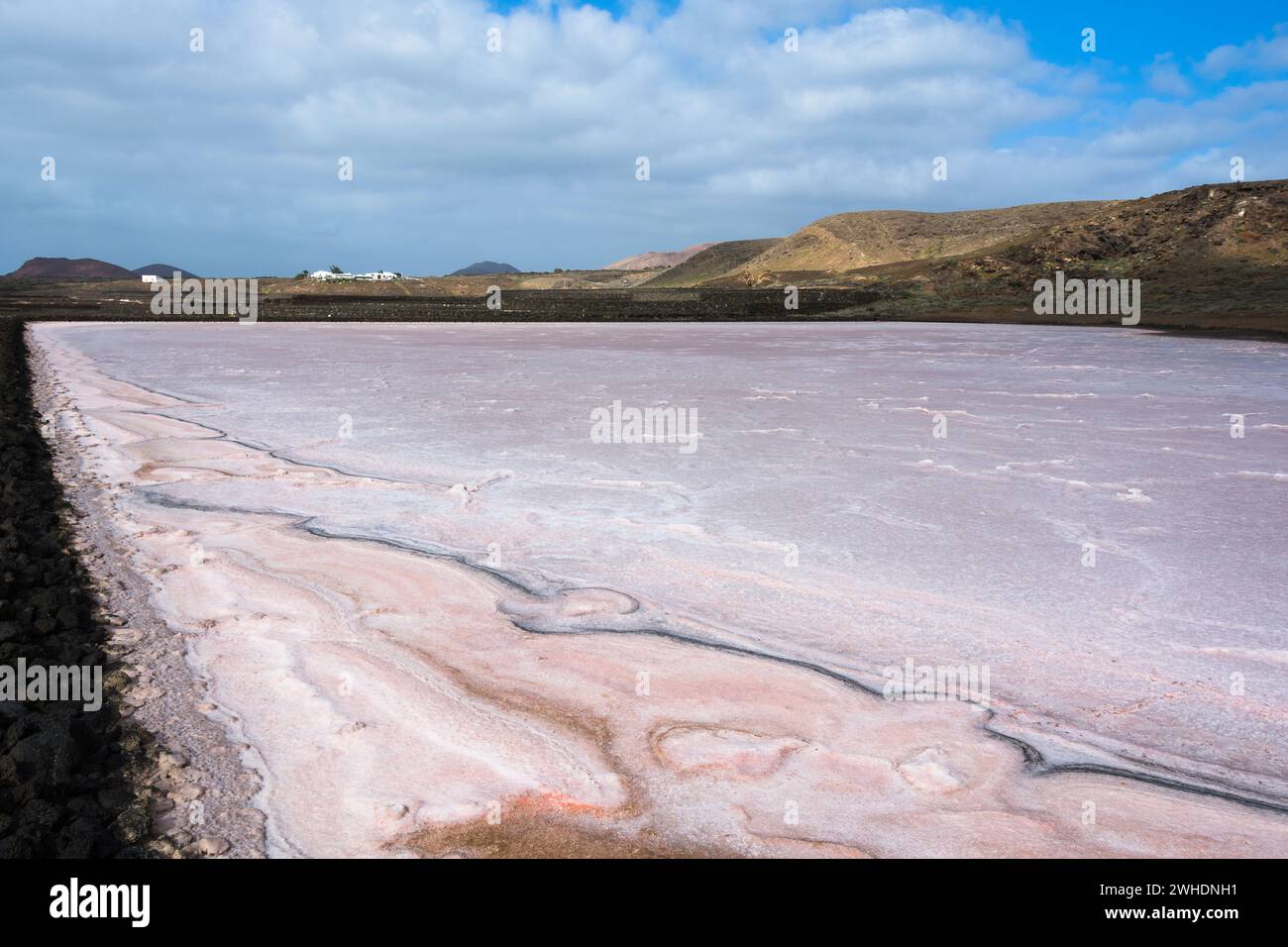 Giardini di sale sull'isola canaria di Lanzarote Foto Stock