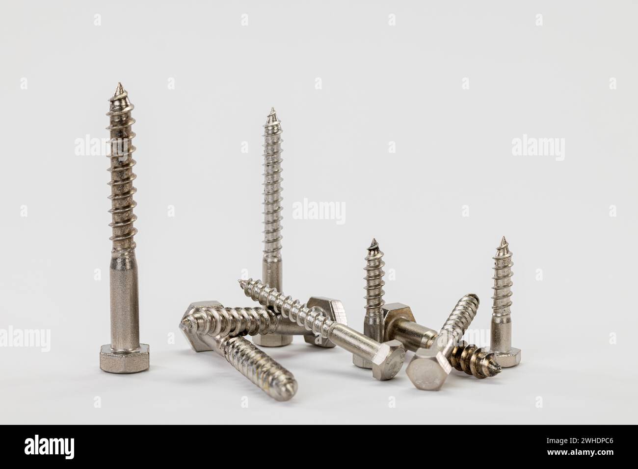 Viti esagonali per legno in acciaio inox, varie misure, miste, fondo bianco, Foto Stock