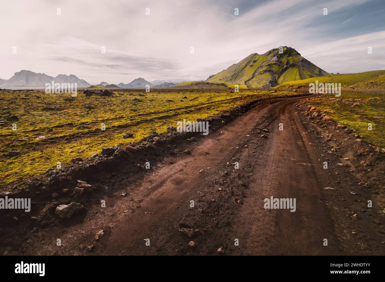 Percorso fuoristrada negli altopiani dell'Islanda con una montagna muschiata sullo sfondo Foto Stock
