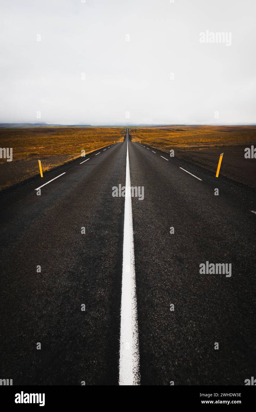 Strada infinita con segnaletica bianca nel paesaggio vulcanico islandese, circonvallazione, Islanda Foto Stock
