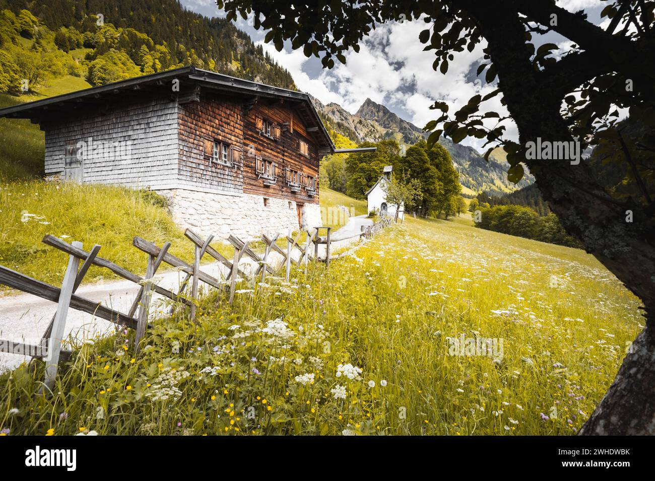 Villaggio agricolo di montagna di Allgäu in primavera. Vecchia baita di montagna con una piccola cappella sullo sfondo. In primo piano un prato di montagna in fiore e una recinzione a picchetto. Villaggio agricolo di montagna Gerstruben vicino a Oberstdorf, di fronte al Höfats. Allgäu Alps, Oberallgäu, Allgäu, Baviera, Germania meridionale, Germania Foto Stock