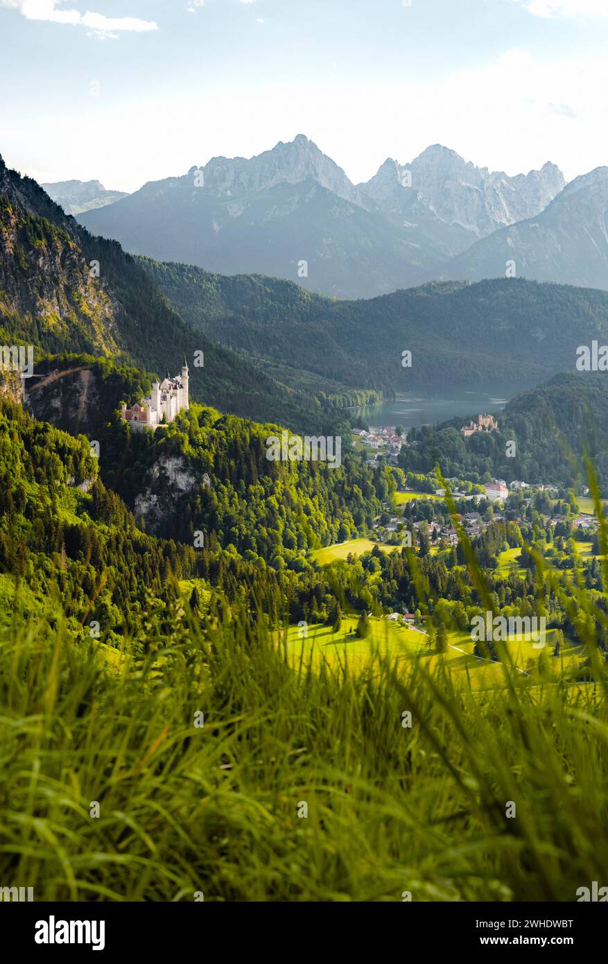Castello di Neuschwanstein di fronte alle montagne delle Alpi Allgäu in una giornata di sole all'inizio dell'estate. Erba in primo piano. Allgäu est, Allgäu, Baviera, Germania, Europa Foto Stock