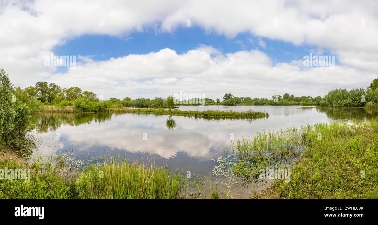 Lago nella riserva naturale Floodplain Forest, Ouse Valley Park, Milton Keynes, Regno Unito Foto Stock